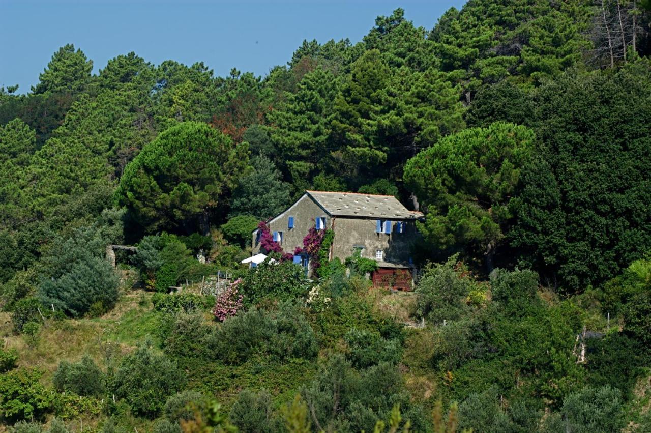 Maison De Charme Giulietta Bonassola Cameră foto